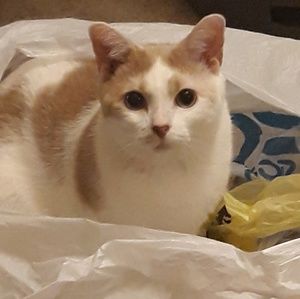 Meet your Posher, Joelle